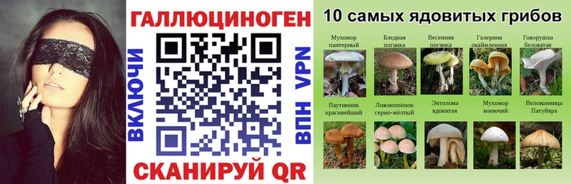 Псилоцибиновые грибы ЛСД  нарко площадка какой сайт  Новоржев 